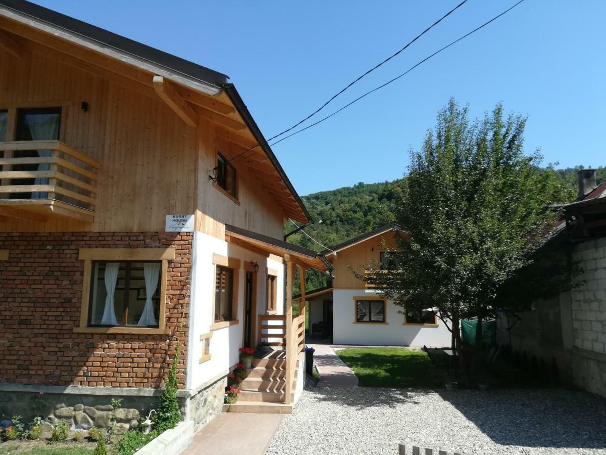 GUEST HOUSE CARPATHIA ≡ Вишеу-де-Сус, Румыния ≡ Lowest Booking Rates For  Guest House Carpathia in Вишеу-де-Сус